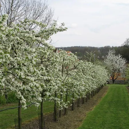 Alojamento de Acomodação e Pequeno-almoço Domaine De Scipion *
