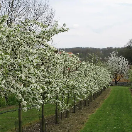 Domaine De Scipion Alojamento de Acomodação e Pequeno-almoço *
