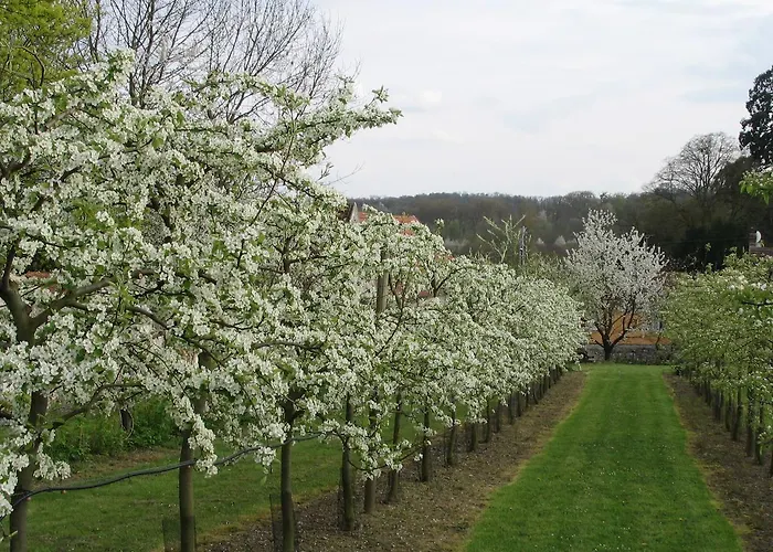 Domaine De Scipion Couette-café *